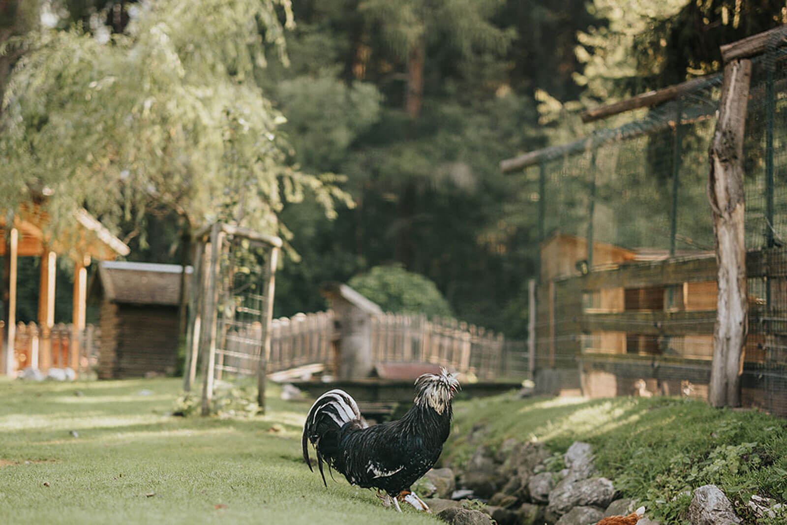 Tierpark - Camping Olympia