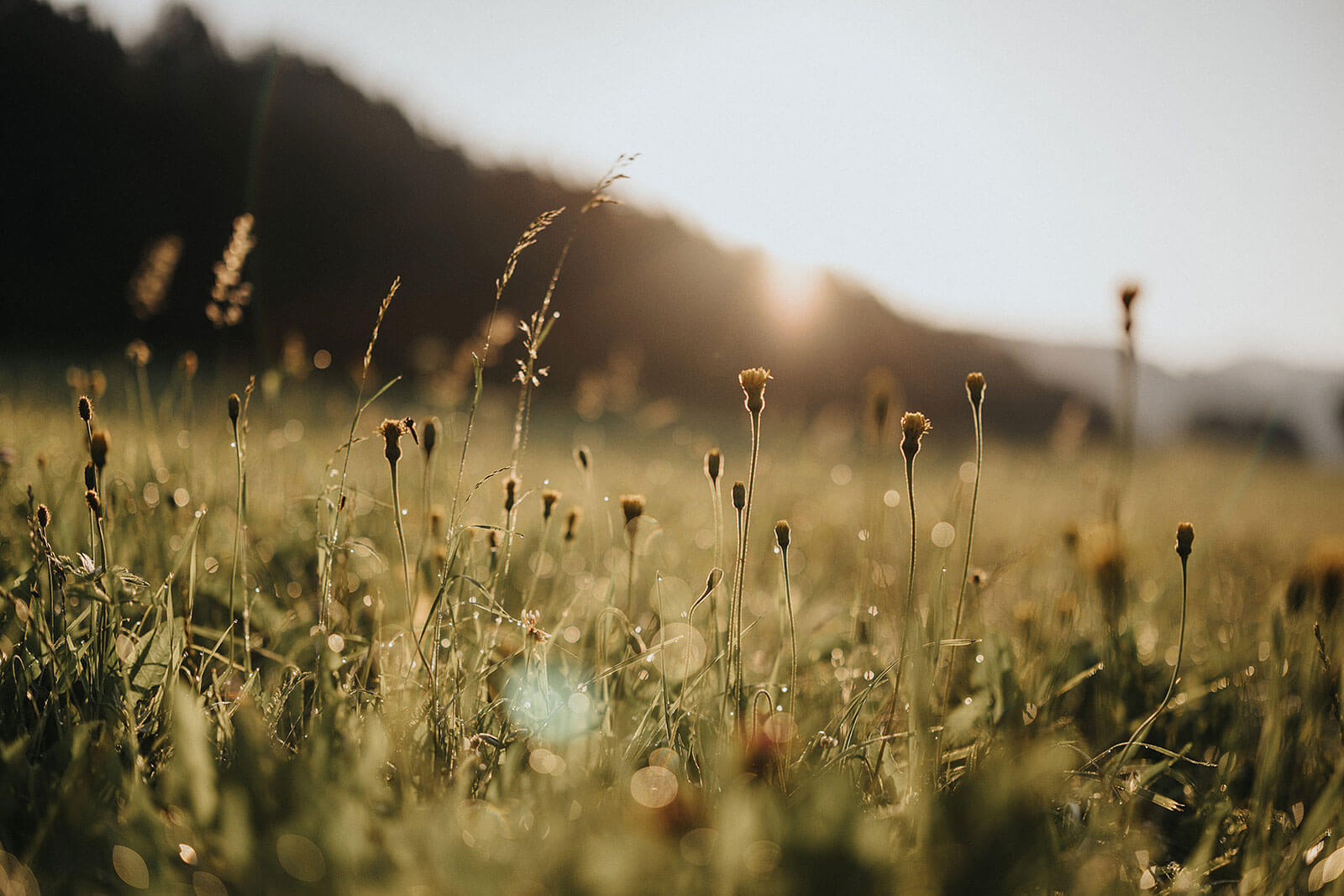 Camping Olympia - Natur