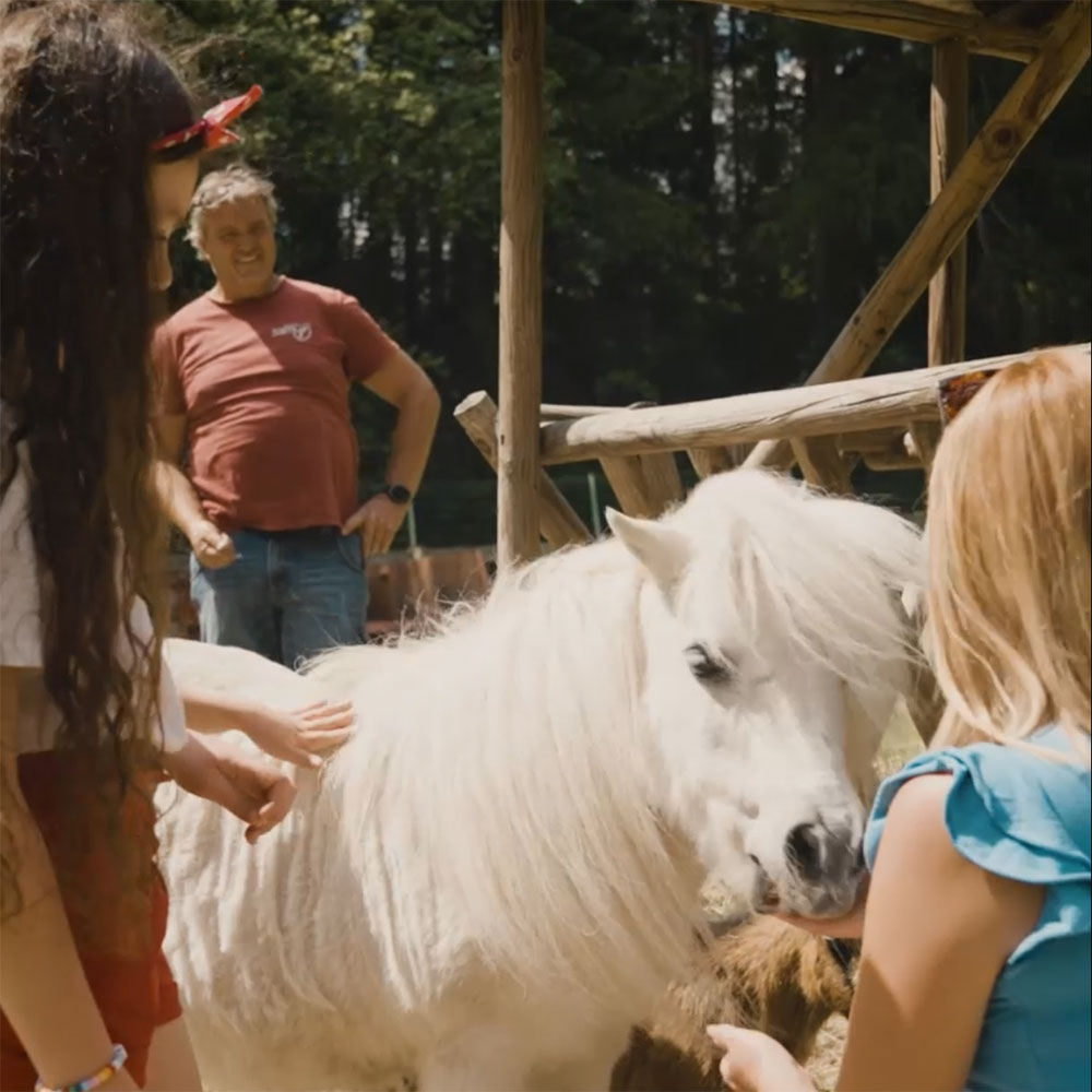 Pony nani - Campeggio Olympia